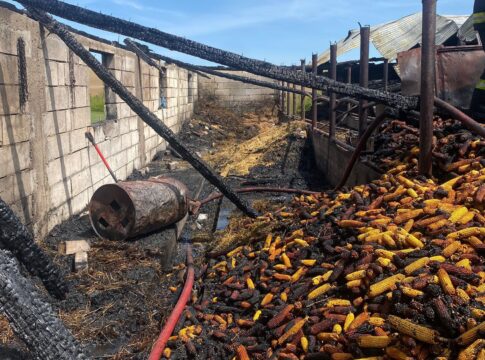 Adăpost cu animale din Dragomireşti, mistuit de un incendiu