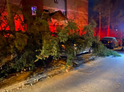 Trei maşini, distruse de copaci doborâți de vânt, la Piatra-Neamţ. Mesaj RO ALERT în zona Piatra-Neamț.