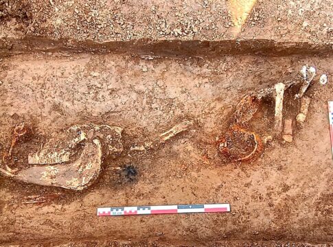 Premieră arheologică pe traseul Autostrăzii A8 în Neamț